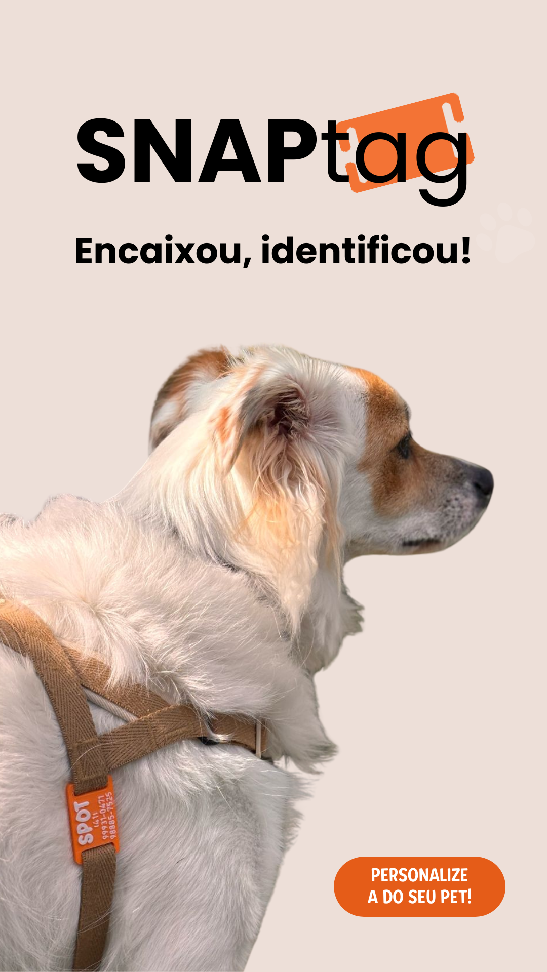 BANNERS MOBILE SITE (300 x 500 px) (Story) (18)