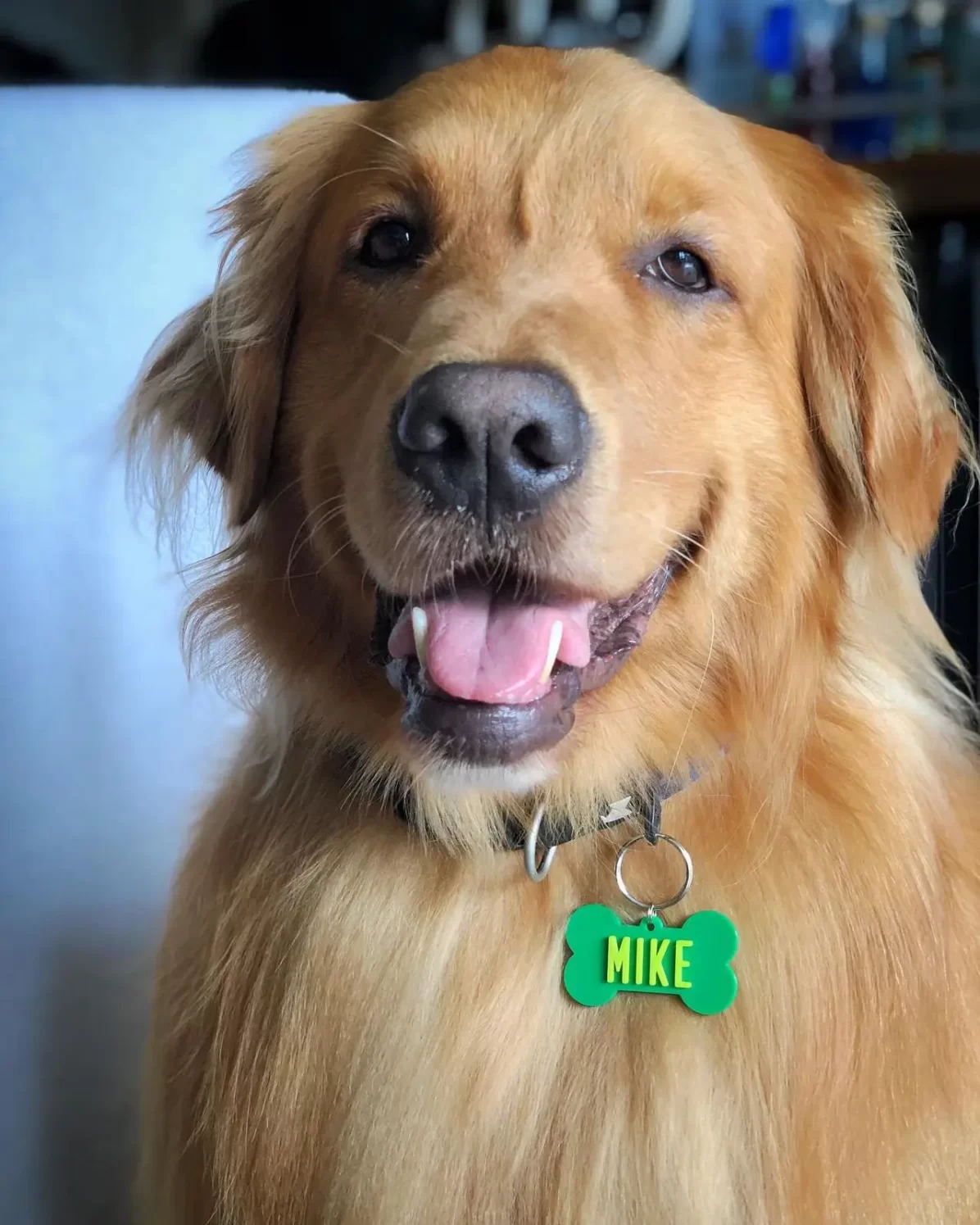 Imagem do WhatsApp de 2022-12-02 à(s) 11.28.19