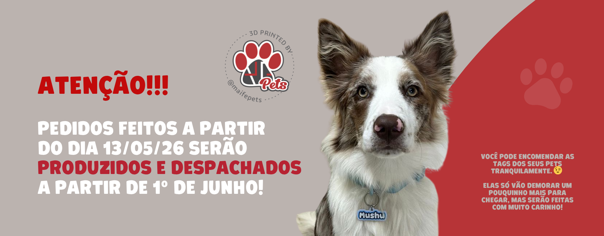 Cópia de BANNERS SITE WEB